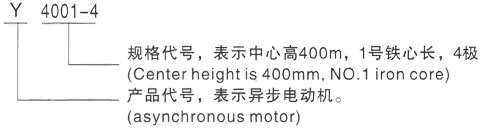 西安泰富西玛Y系列(H355-1000)高压YE2-280S-2三相异步电机型号说明